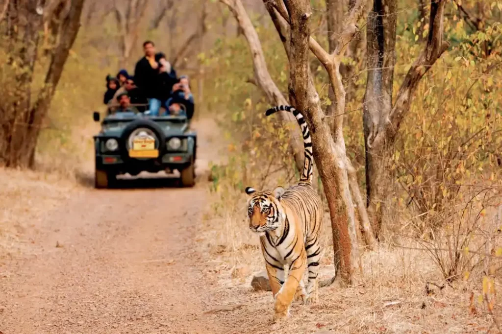 best-of-rajasthan-with-wildlife-tour